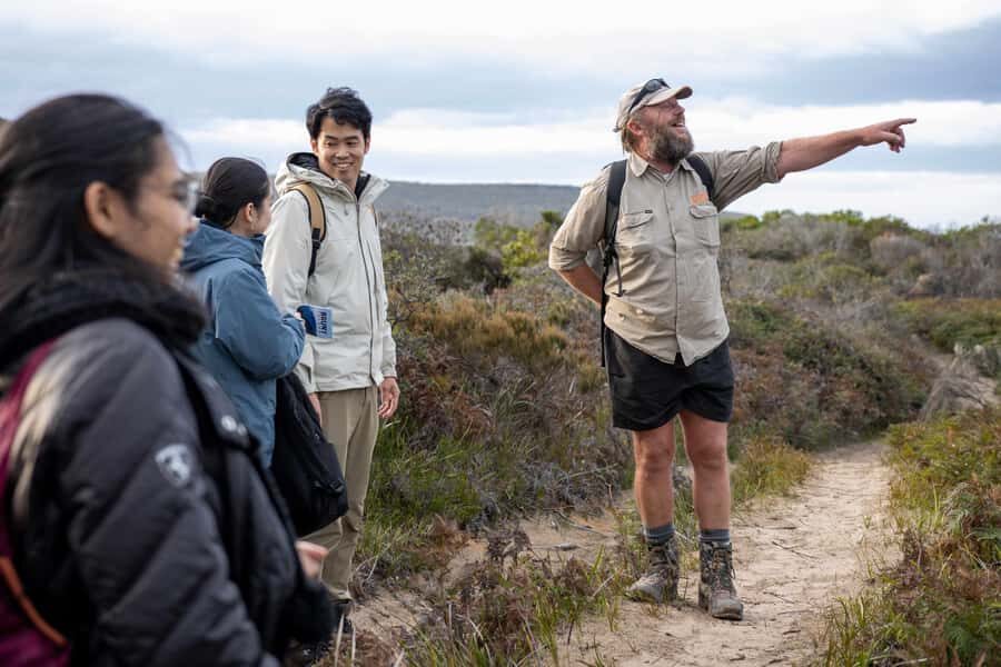 From Hobart: Bruny Island Nature & Produce Adventure Tour - From Hobart to Bruny: why the early start matters