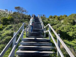 From Hobart: Bruny Island Nature & Produce Adventure Tour - Cape Queen Elizabeth Trail to Bruny Arch: your morning workout with payoff