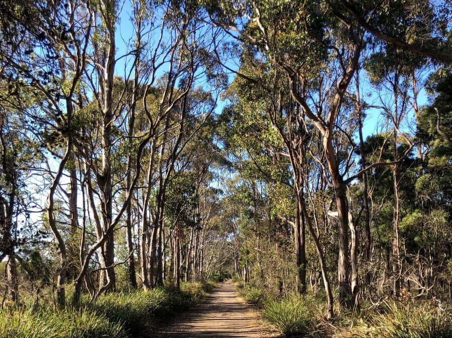 From Hobart: Bruny Island Nature & Produce Adventure Tour - Two Tree Point, Resolution Creek, and Coal Point: history you can actually picture