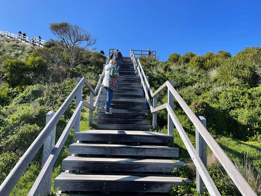 From Hobart: Bruny Island Nature & Produce Adventure Tour - Cape Queen Elizabeth Trail to Bruny Arch: your morning workout with payoff