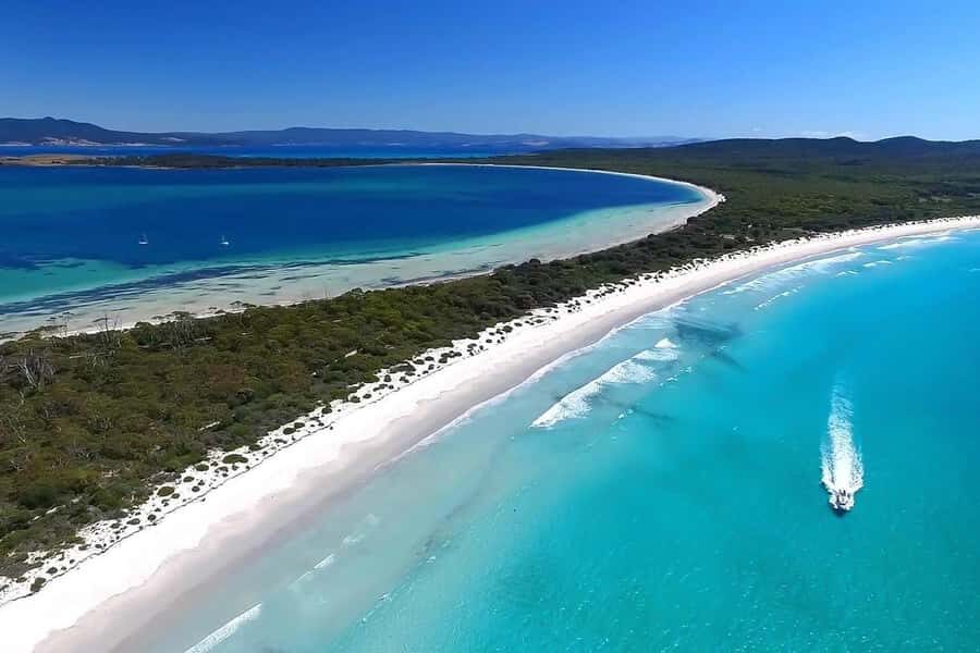 From Hobart: Day Tour to Maria Island with Bus Connection - Quick takes before you go