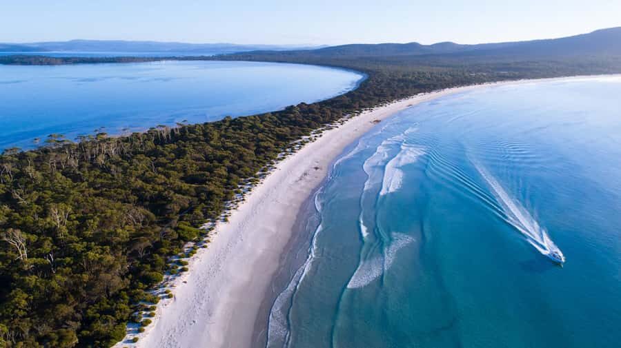 From Hobart: Day Tour to Maria Island with Bus Connection - Should you book this Maria Island cruise from Hobart?