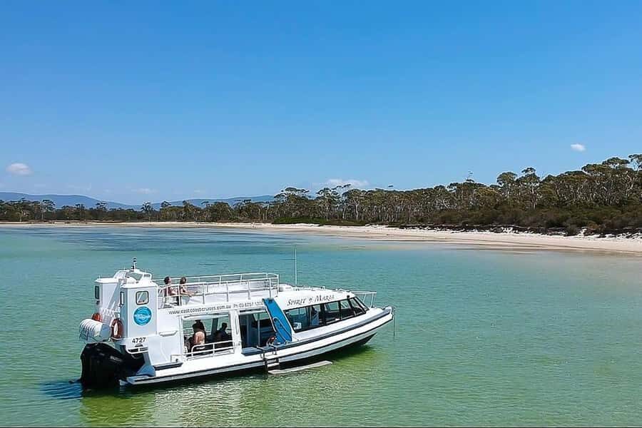 From Hobart: Day Tour to Maria Island with Bus Connection - The Triabunna cruise: the view is the feature