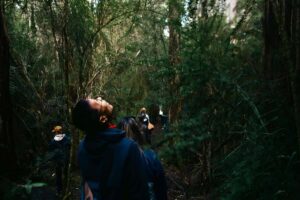 From Hobart: Full-Day Bruny Island Tour with Guide - Getting There: Ferry Transfer and a Guide-Run Day Plan
