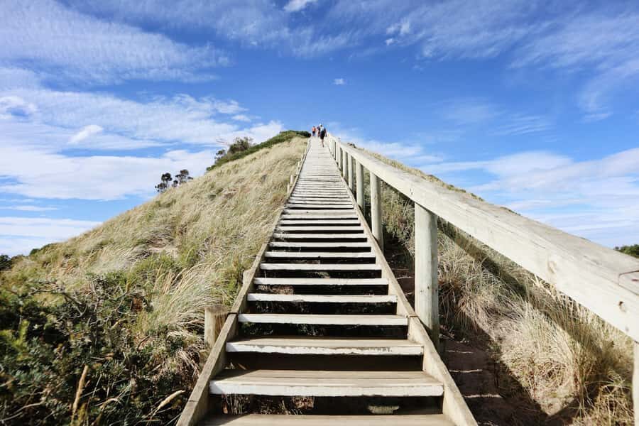 From Hobart: Full-Day Bruny Island Tour with Guide - Pacing, Comfort, and Who This Tour Fits Best