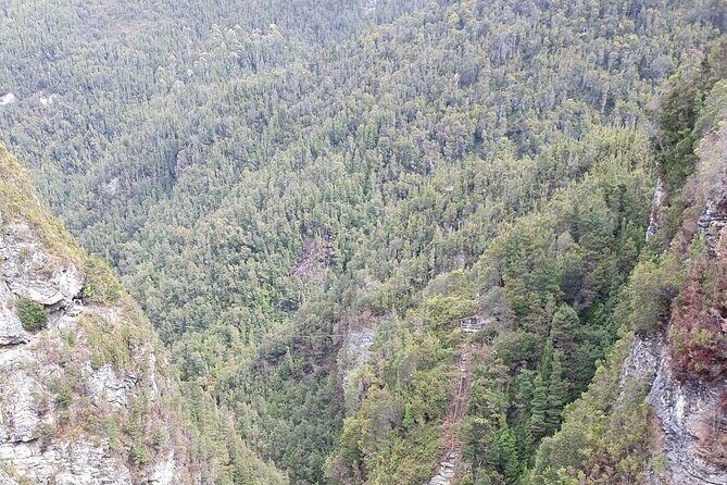 From Hobart: Gordon Dam and Lake Pedder Wilderness Day Tour - Teds Beach Campground and Lake Pedder Time