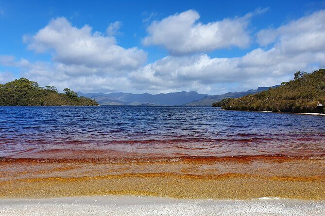 From Hobart: Gordon Dam and Lake Pedder Wilderness Day Tour - The New Norfolk Setup Stop: Food and a Quick Reset