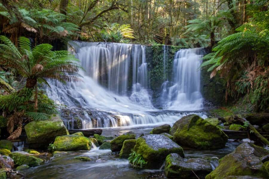From Hobart: Mt. Field National Park and Russell Falls - Why This Day Trip Works From Hobart