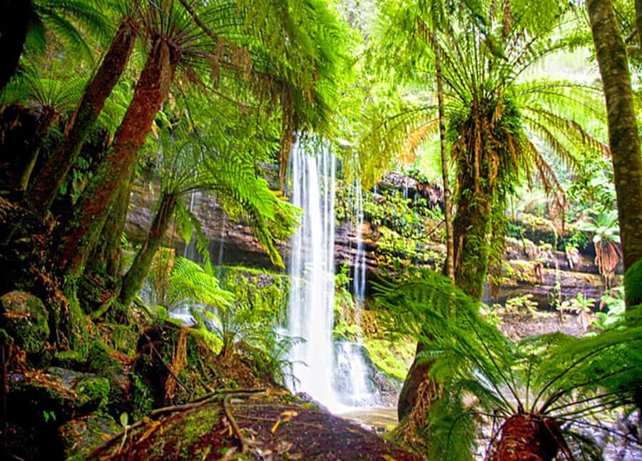 From Hobart: Mt. Field National Park and Russell Falls - Derwent Valley to New Norfolk: Farming Country First