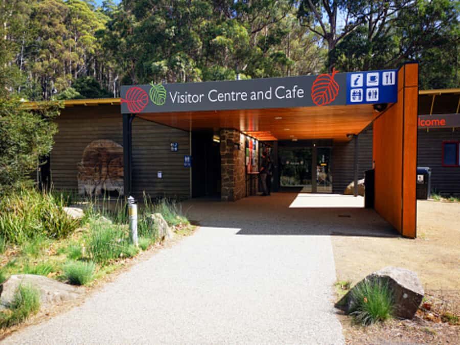 From Hobart: Mt. Field National Park and Russell Falls - Mt Field National Park Entrance to Tall Trees Walk