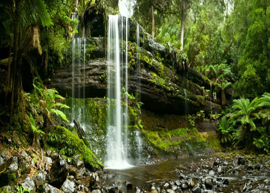 From Hobart: Mt. Field National Park and Russell Falls - Russell Falls: A Three-Tier Waterfall Walk
