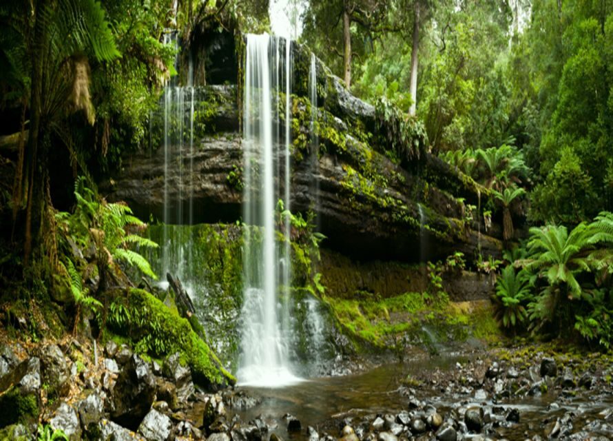From Hobart: Mt. Field National Park and Russell Falls - Value for $127: What You’re Paying For