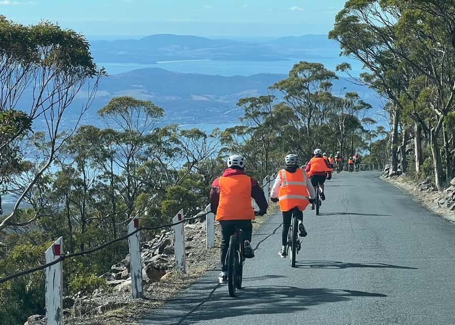 From Hobart: Mt Wellington Summit & Rainforest Bike Tour - South Hobart start: short walk, big convenience