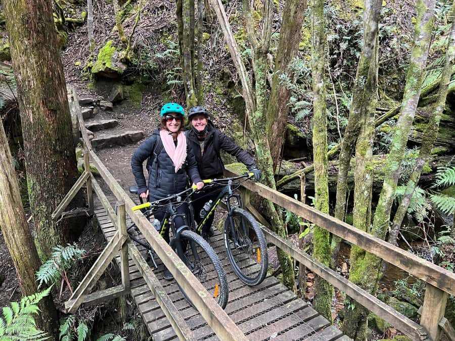 From Hobart: Mt Wellington Summit & Rainforest Bike Tour - The 6 km downhill descent: fast optional, control always