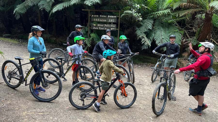 From Hobart: Mt Wellington Summit & Rainforest Bike Tour - The 11 km rainforest bike ride: ferns, streams, waterfalls, and aqueducts