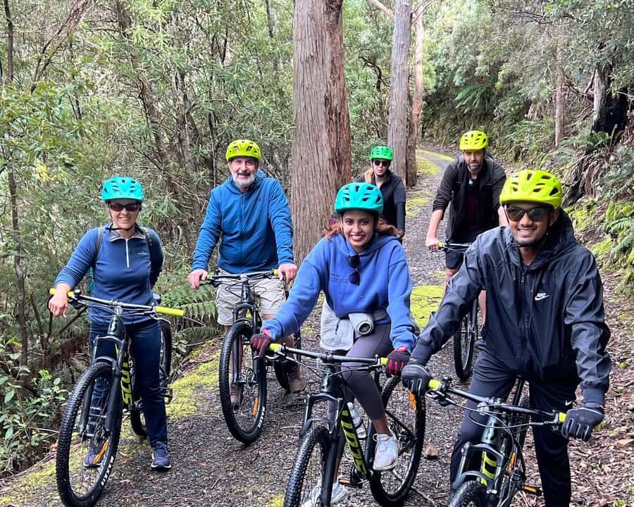 From Hobart: Mt Wellington Summit & Rainforest Bike Tour - Break time and the small comforts that help