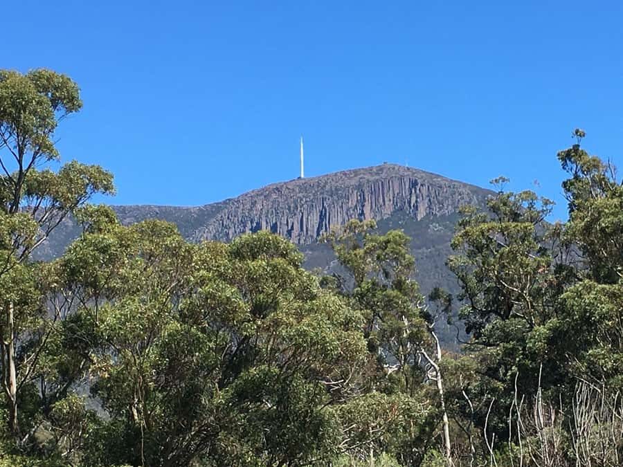 From Hobart: Mt Wellington Summit & Rainforest Bike Tour - Who this tour fits best (and who should skip it)