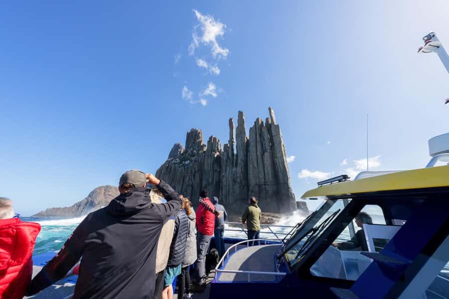 From Hobart: Port Arthur Cape Raoul Wilderness Cruise - Wildlife Watching: Seals, Dolphins, Whales, and the Sky Show