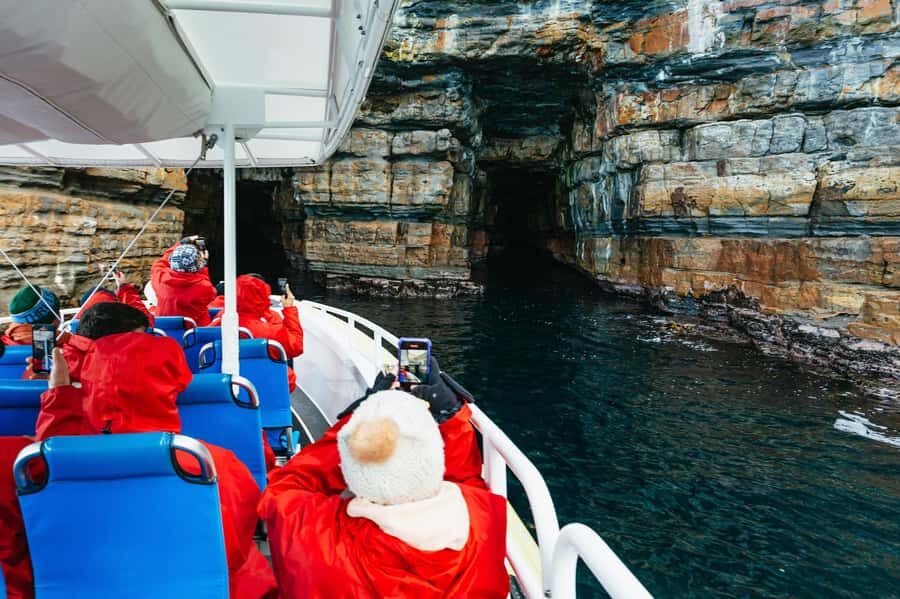 From Port Arthur: Tasman Island Wilderness Cruise - Why Cape Pillar makes this cruise worth your time