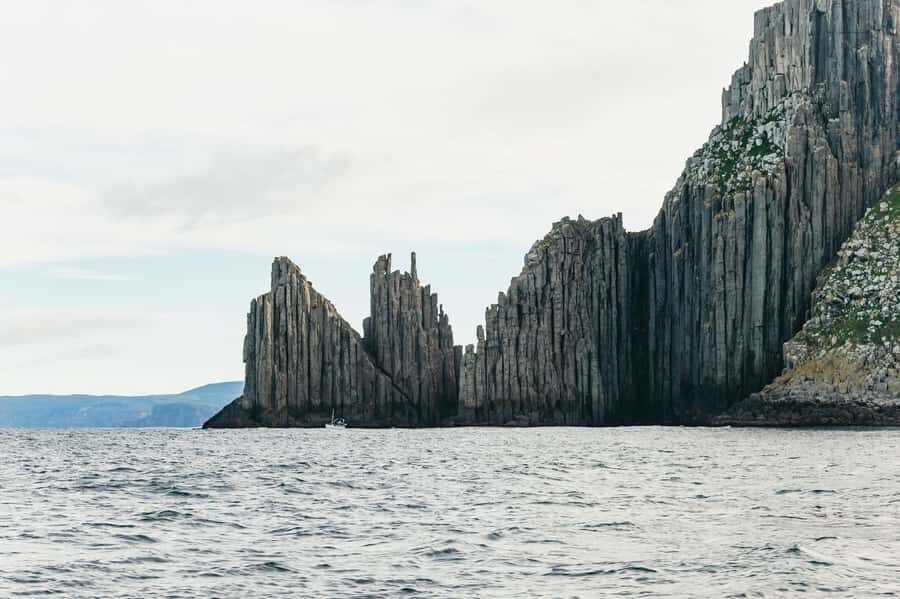 From Port Arthur: Tasman Island Wilderness Cruise - Price and value: $127 for 3 hours on the Tasman Sea