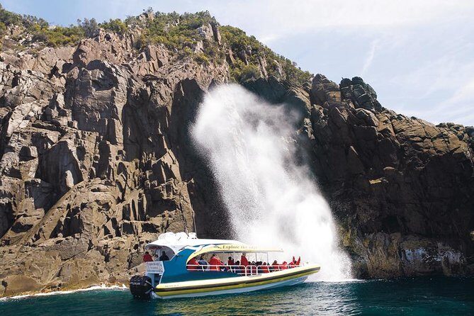 Full-Day Bruny Island Cruises Day Tour from Hobart - The 3-hour wilderness cruise: sea caves, cliffs, and wildlife time