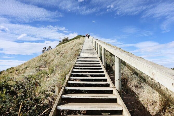 Full-Day Guided Bruny Island Tour from Hobart - Oysters, chocolate, and honey: the island’s tastings in real time