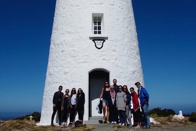 Full-Day Guided Bruny Island Tour from Hobart - Adventure Bay and Mavista: beach time plus a real rainforest walk