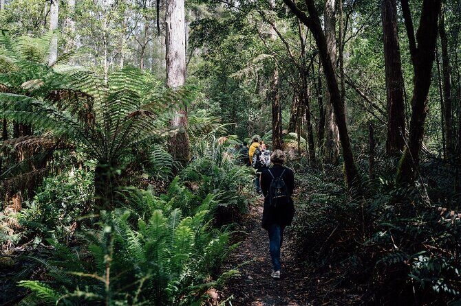 Full-Day Guided Bruny Island Tour from Hobart - Alonnah lunch at Hotel Bruny Pub: plan for food that’s not included