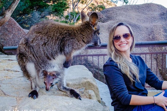 Full-Day Tour to Wineglass Bay from Hobart - Morning Start: Orford Riverside Cafe and Coles Bay breaks up the drive