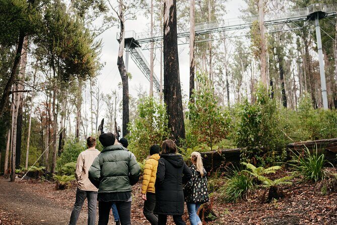 Hastings Caves, Tahune Airwalk and the Huon Tasting Trail - The Huon Valley Route From Hobart: How This Day Stays Worth It