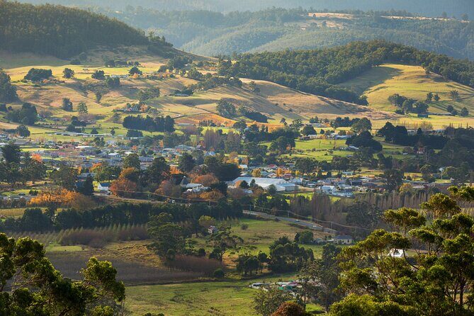 Hastings Caves, Tahune Airwalk and the Huon Tasting Trail - Pacing, Steps, and Who Should Choose This Tour
