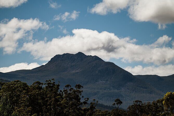 Hastings Caves, Tahune Airwalk and the Huon Tasting Trail - Guide Style: Why Grey, Nathan, Jodi, and Others Matter