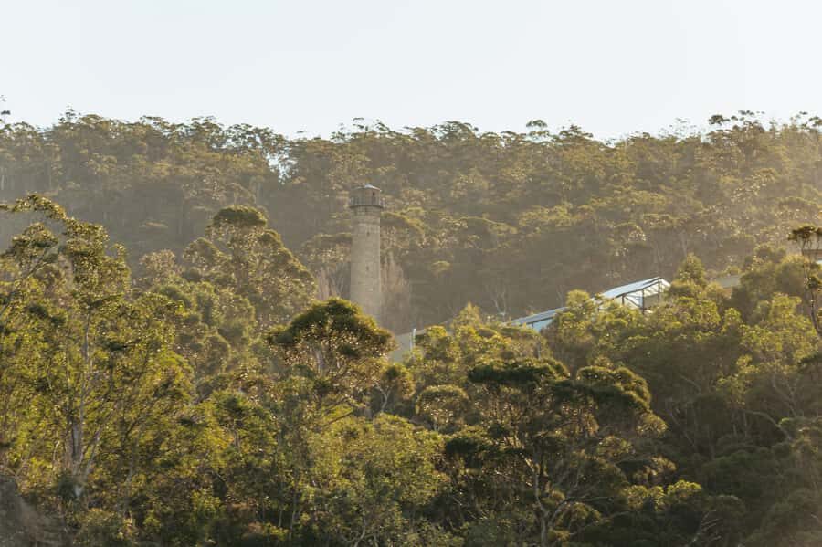 Hobart: 2.5-hour Iron Pot Lighthouse Cruise - Wildlife odds and the sea-state reality check