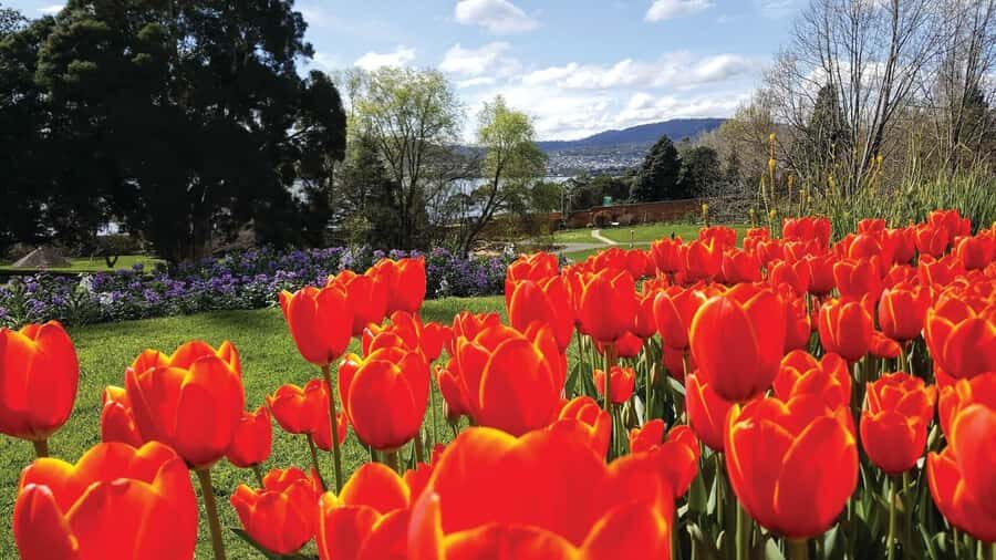 Hobart: 3-Hour City Sightseeing Tour - Through Battery Point and the penal-era landmarks people remember