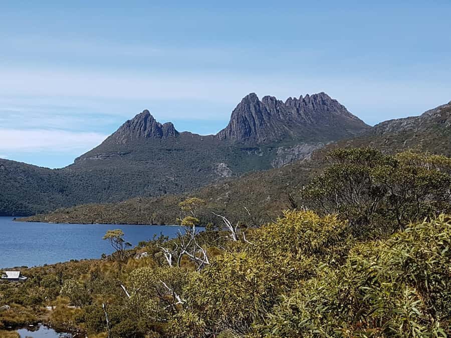 Hobart: 4 Day Wild Tasmania Tour - Key Things That Make This Hobart Wild Tasmania Tour Worth It