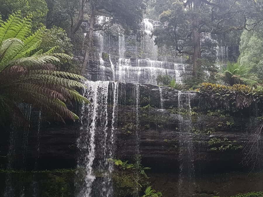 Hobart: 4 Day Wild Tasmania Tour - Cradle Mountain UNESCO Park and Wombat-Hike Options