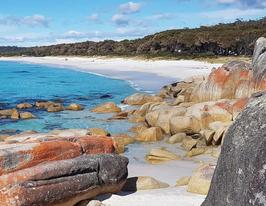 Hobart: 4 Day Wild Tasmania Tour - Wilderness Nights and the Bush-Accents That Make It Feel Real