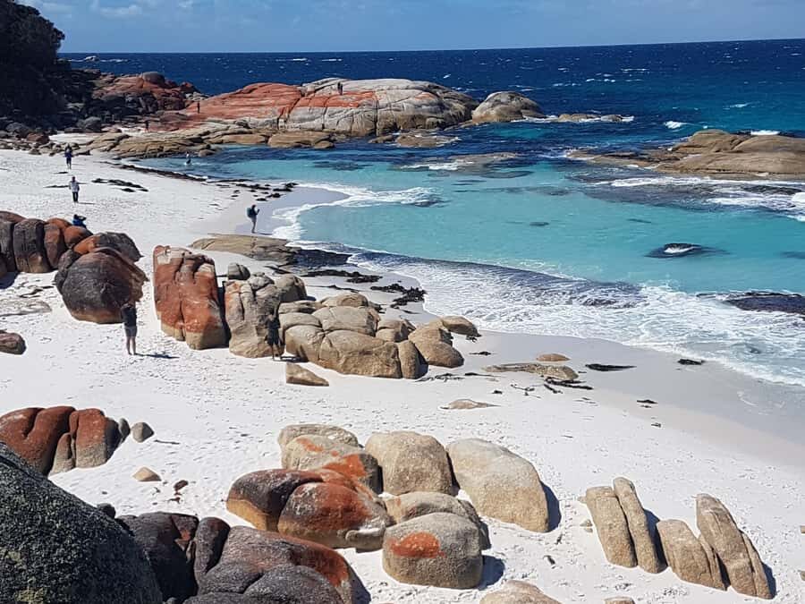 Hobart: 4 Day Wild Tasmania Tour - Small-Group Comfort in a Vehicle That Fits the Plan