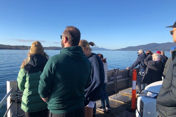 Hobart: Bruny Island Adventure: Hiking, Highlights & Local tastes - The Neck and Trugannini Lookout: 279 stairs, big payoff