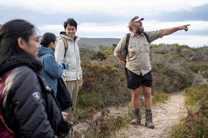 Hobart: Bruny Island Adventure: Hiking, Highlights & Local tastes - Bruny Island food stops: honey, chocolate, cheese, and oysters