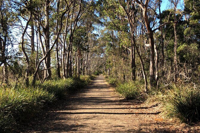 Hobart: Bruny Island Adventure: Hiking, Highlights & Local tastes - Lunch: bring your own or choose a set meal option