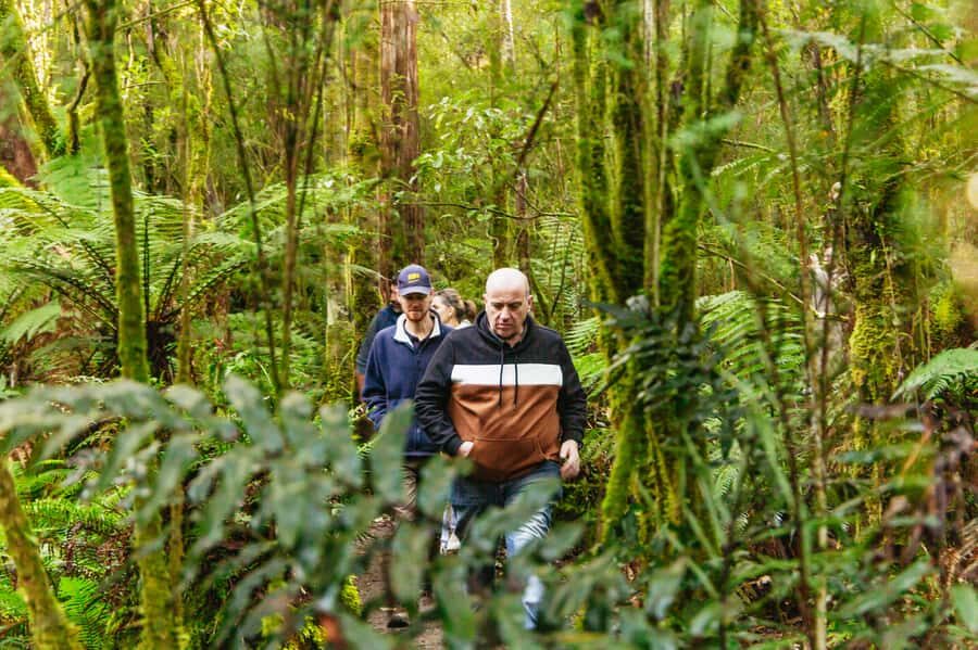 Hobart: Bruny Island Gourmet Sightseeing Day Tour - Tastings That Actually Add Up: Cheese, Ale, Honey, Mead, and More