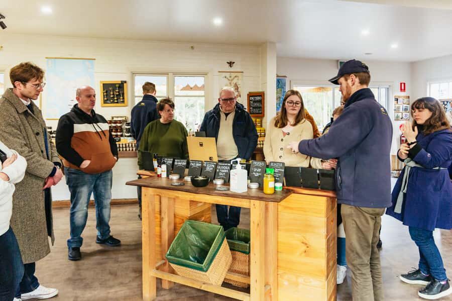 Hobart: Bruny Island Gourmet Sightseeing Day Tour - Mavista Rainforest: From Bush Light to Dense Green