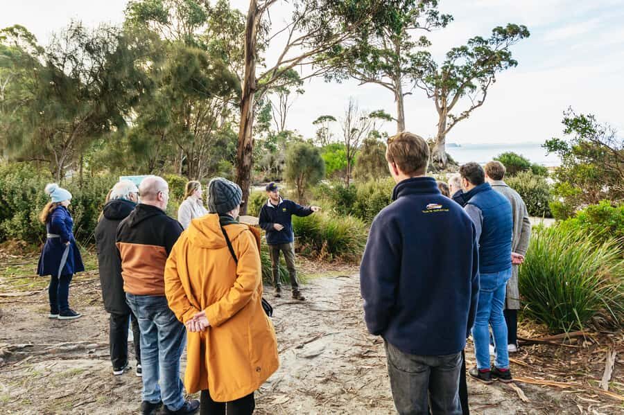 Hobart: Bruny Island Gourmet Sightseeing Day Tour - Getting the Ferry Feeling Without Stress