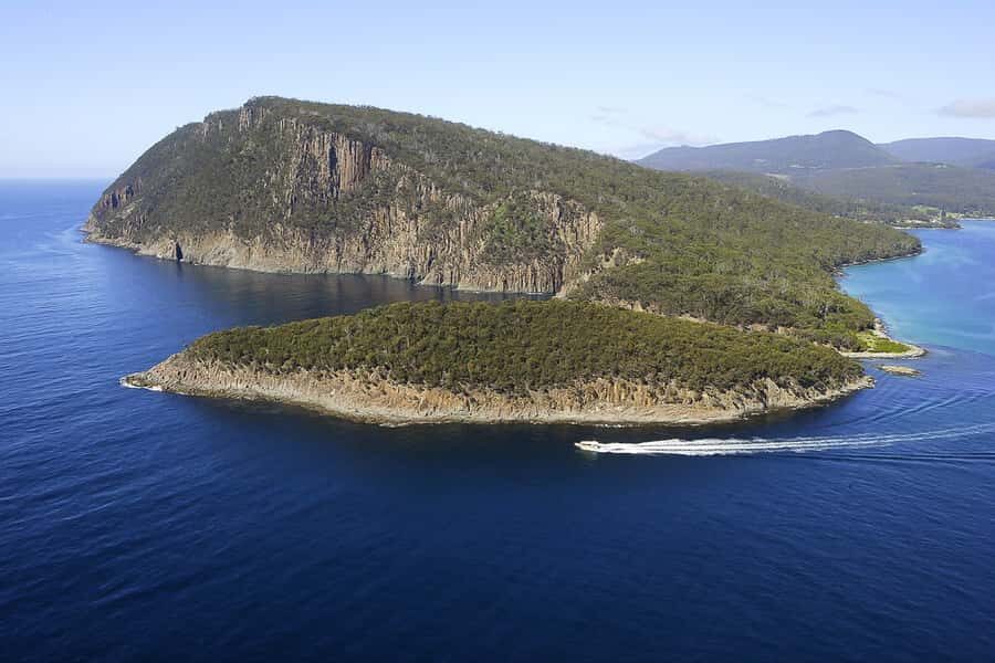 Hobart: Bruny Island Wilderness Coast Eco Cruise with Lunch - Wildlife you can actually spot, plus real cruise comfort tips