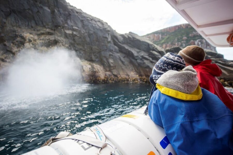 Hobart: Bruny Island Wilderness Coast Eco Cruise with Lunch - The Bruny Island sightseeing bus tour and the return to Hobart