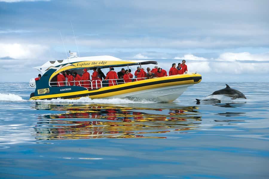 Hobart: Bruny Island Wilderness Coast Eco Cruise with Lunch - Check-in on Franklin Wharf: start easy, stay on time