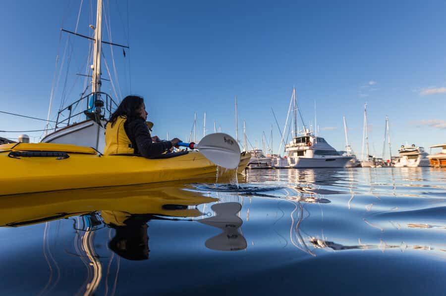 Hobart City 2.5-Hour Kayak Tour - Fish and Chips From Your Kayak: The Meal That Makes It Different