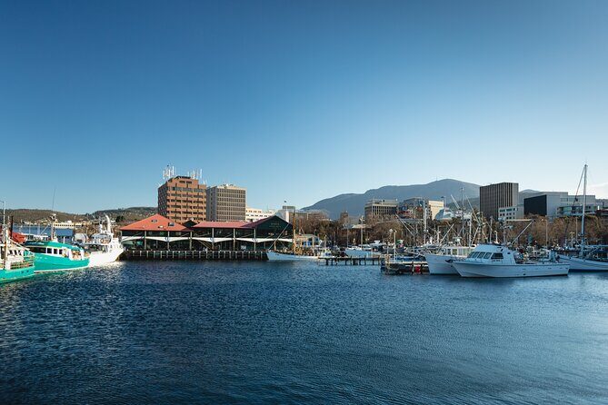 Hobart City Sightseeing Tour including MONA Admission - Key highlights to care about before you go