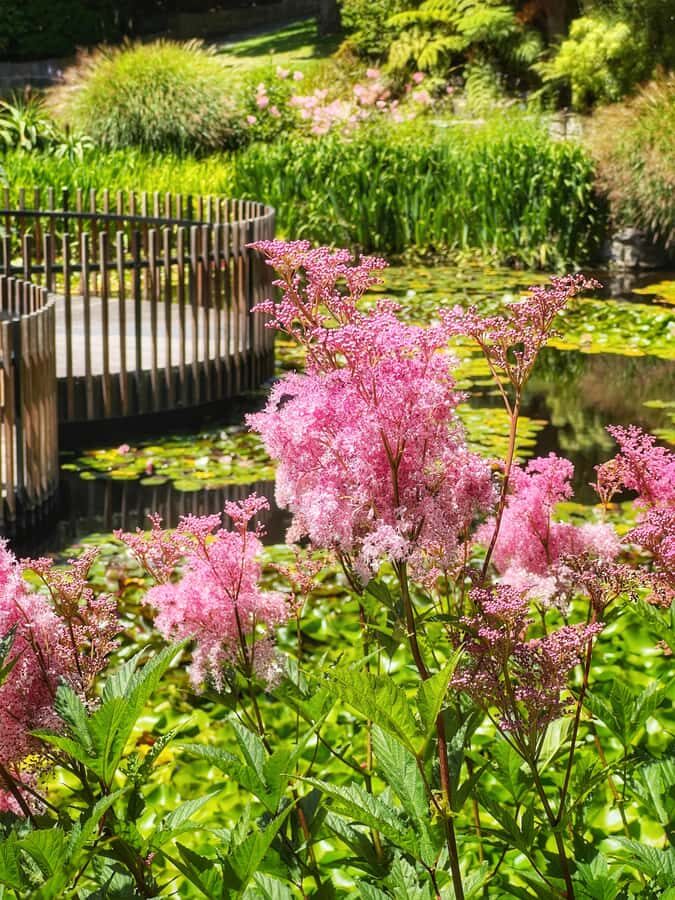 Hobart: Full-Day Bonorong Wildlife Sanctuary & Richmond Tour - Start at Brooke Street Pier and get oriented fast